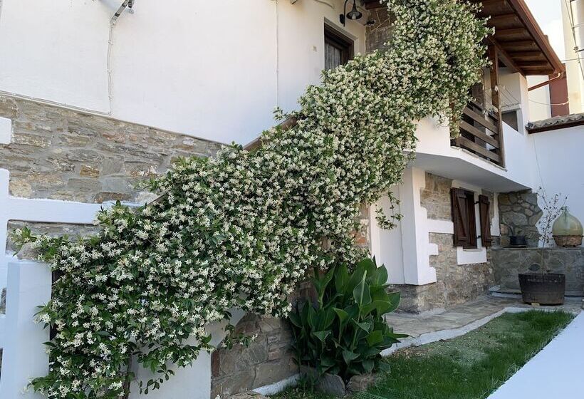 Beautiful Petrino 1880