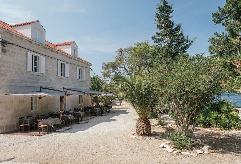 住宿加早餐  Vrnik Arts Club