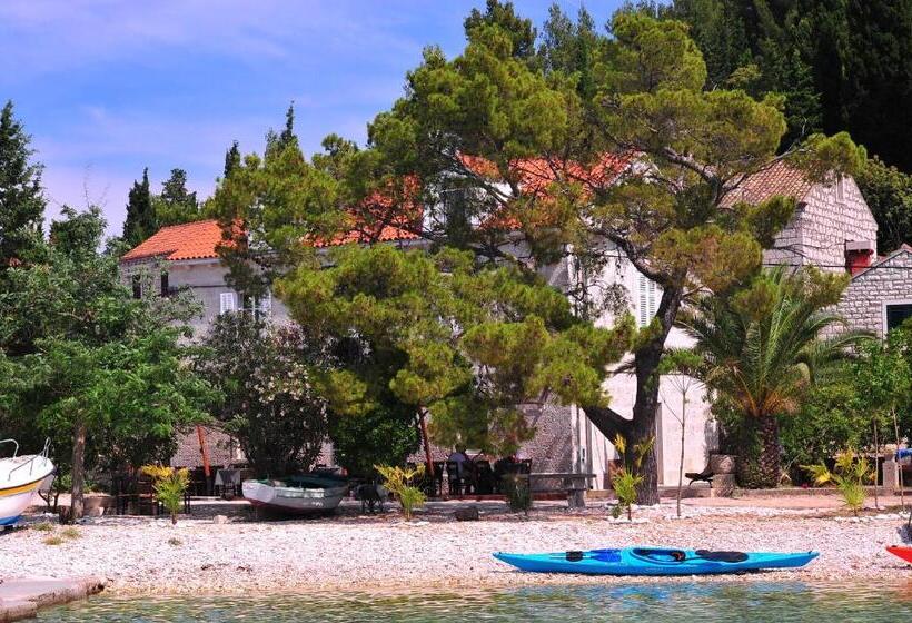 住宿加早餐  Vrnik Arts Club