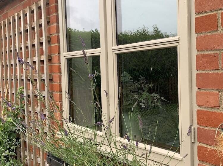 Come & Stay On A Real Norfolk Vineyard