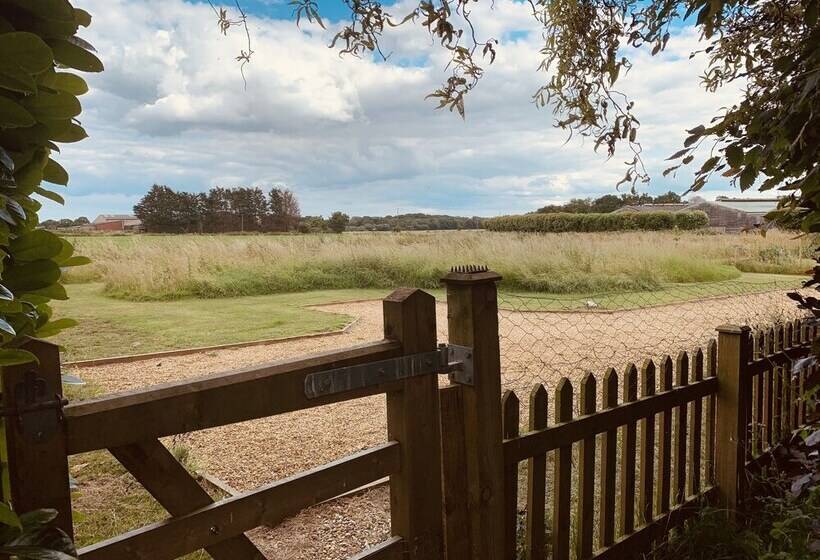 Come & Stay On A Real Norfolk Vineyard