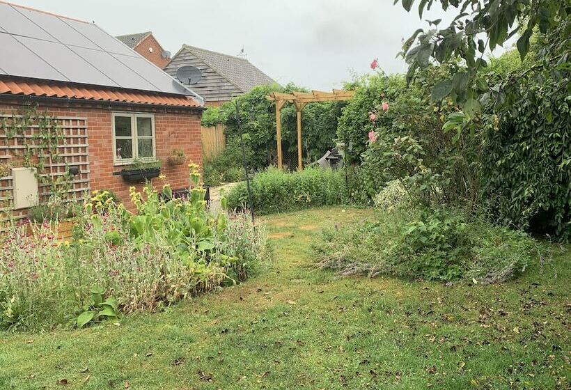 Come & Stay On A Real Norfolk Vineyard