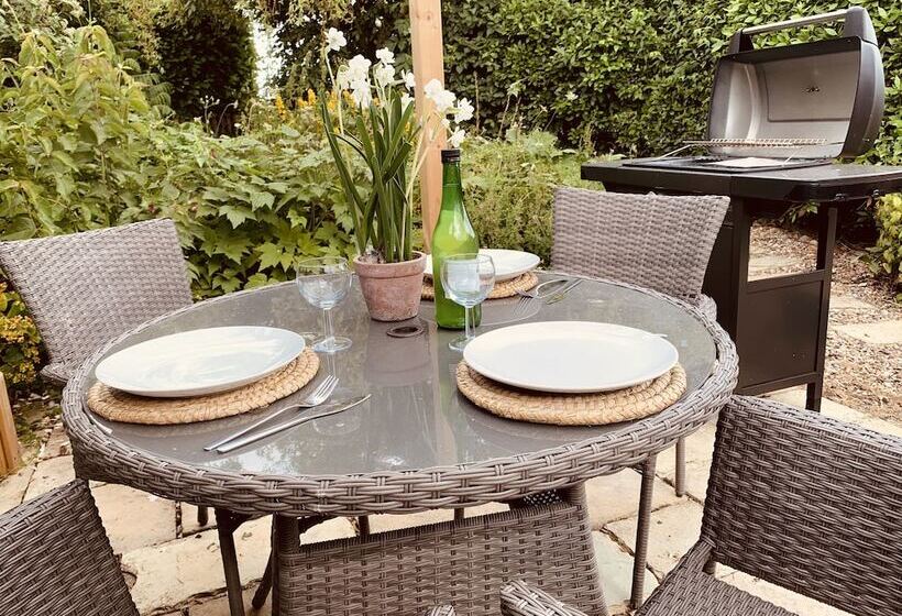 Come & Stay On A Real Norfolk Vineyard