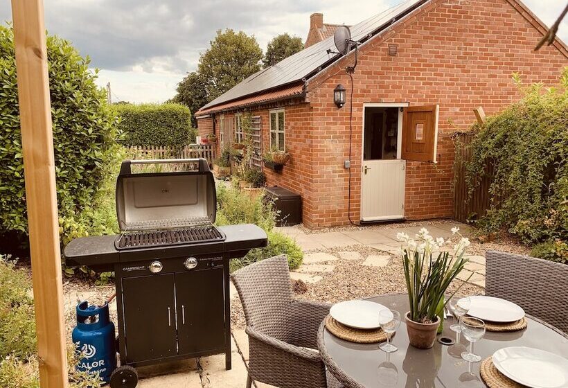 Come & Stay On A Real Norfolk Vineyard