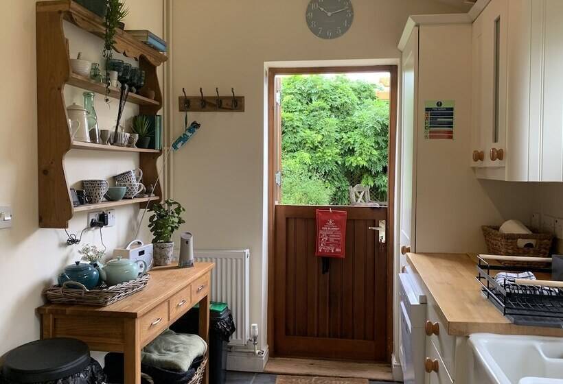 Come & Stay On A Real Norfolk Vineyard