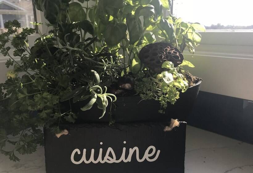 Dicksons Family Suite B&b