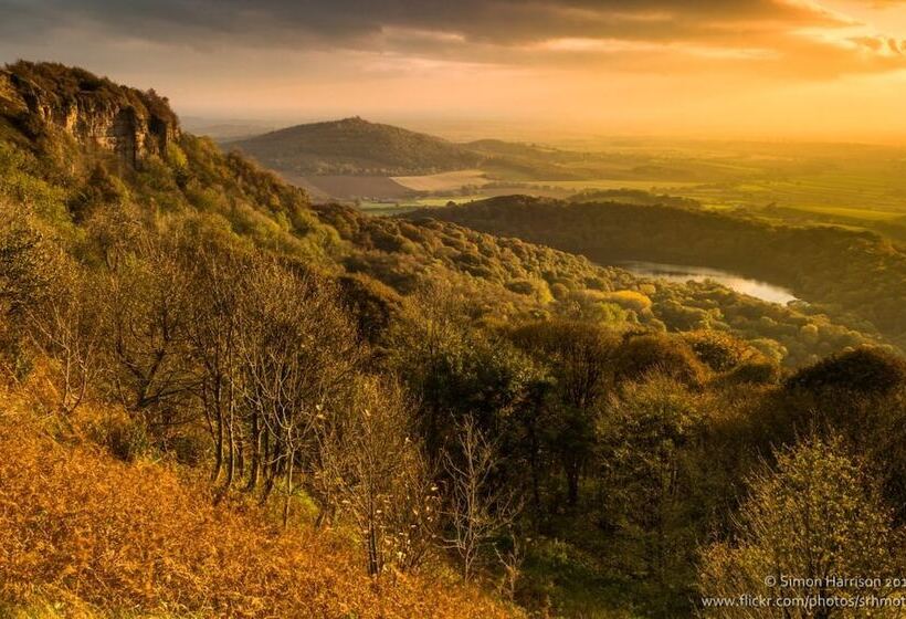 Пансион Carlton Lodge