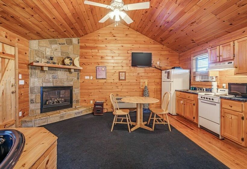 Star Struck Hot Tub Heart Shaped Jetted Jacuzzi Stone Gas Log Fireplace