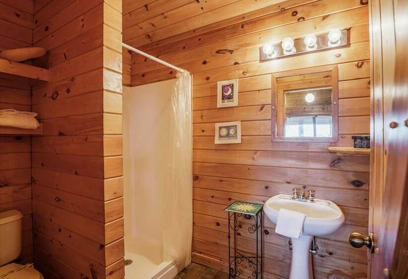 Star Struck Hot Tub Heart Shaped Jetted Jacuzzi Stone Gas Log Fireplace