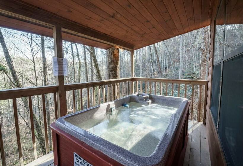 Star Struck Hot Tub Heart Shaped Jetted Jacuzzi Stone Gas Log Fireplace