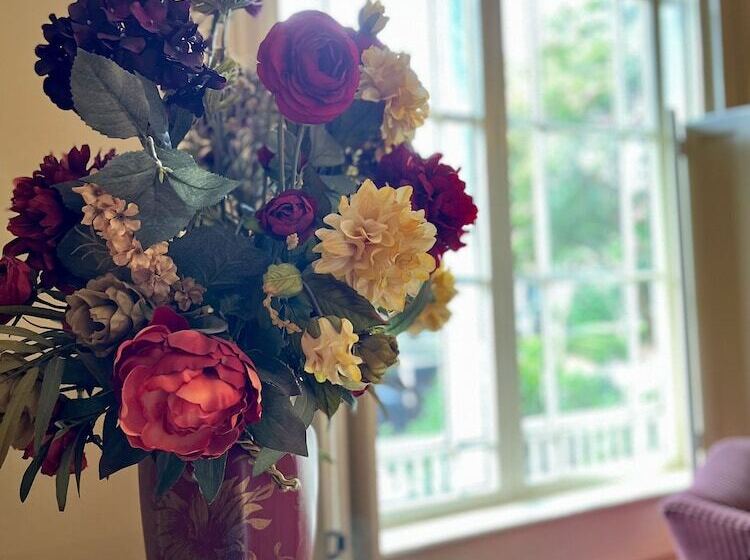 ベッドアンドブレックファースト The Beaumont House Natchez