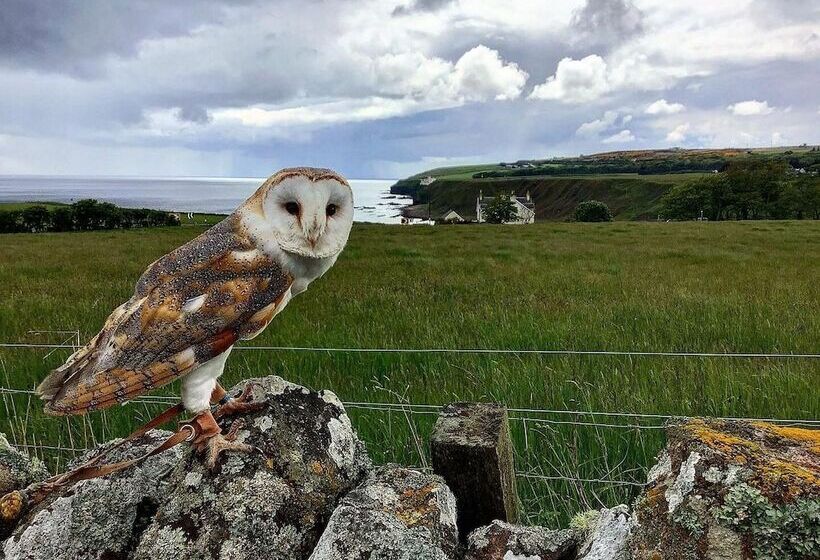 Bespoke 1 Bed Cottage In Dunbeath Village