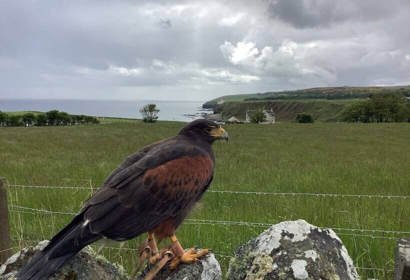 Bespoke 1 Bed Cottage In Dunbeath Village