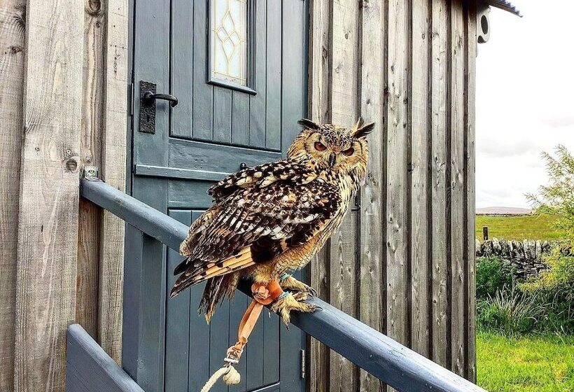 Bespoke 1 Bed Cottage In Dunbeath Village