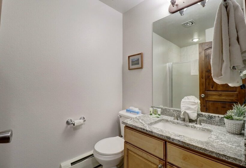 Heated Pool Ski In Walk Out Perfect Hotel Room   Cv210a By Redawning