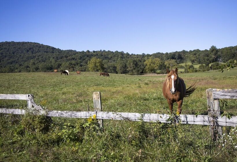 فندق فئة نجمة واحدة Blue Rock
