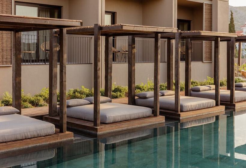 酒店 Casa Cook Samos   Adults Only