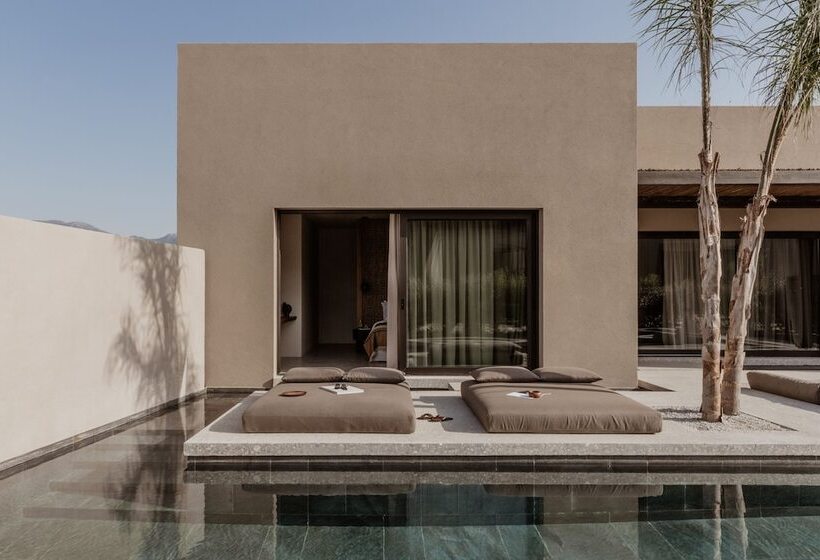 酒店 Casa Cook Samos   Adults Only