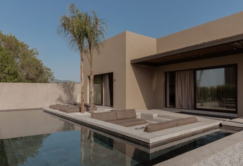 酒店 Casa Cook Samos   Adults Only