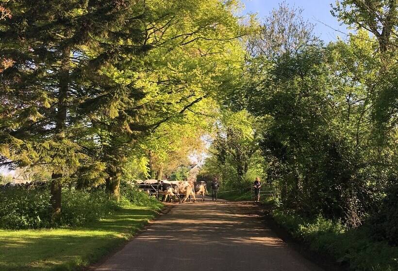 Отель Garden Barn