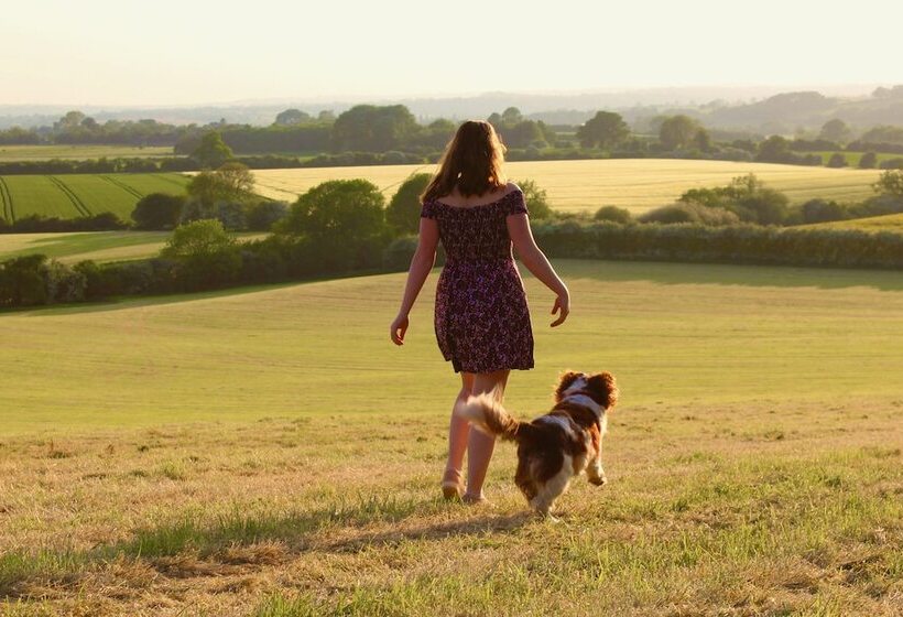 Отель Garden Barn