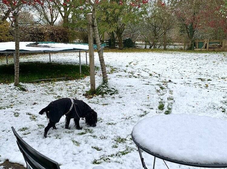 Отель Garden Barn