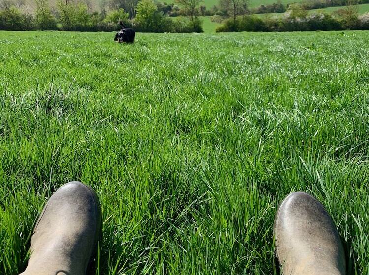 Отель Garden Barn
