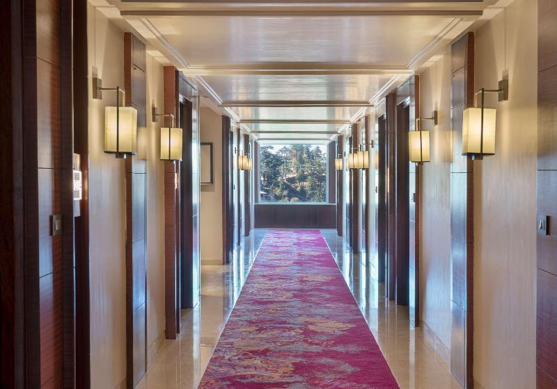 호텔 Radisson Kufri