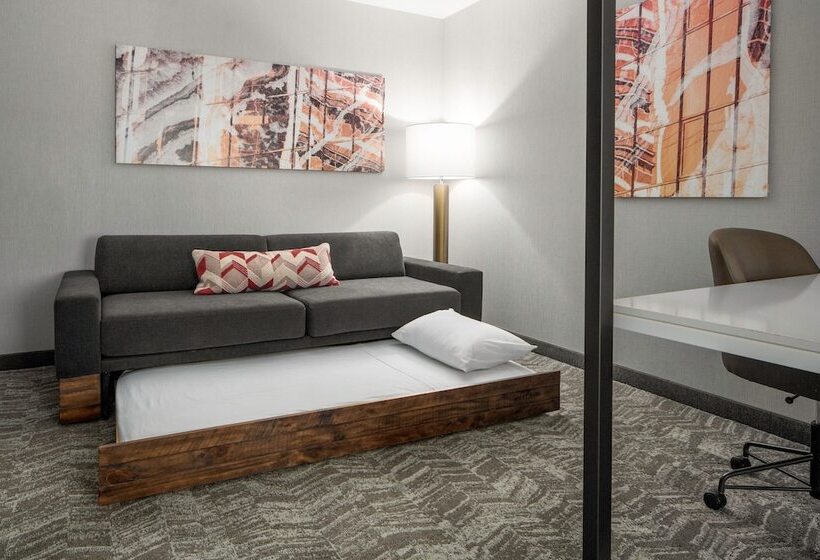 هتل Springhill Suites By Marriott Raleigh Apex