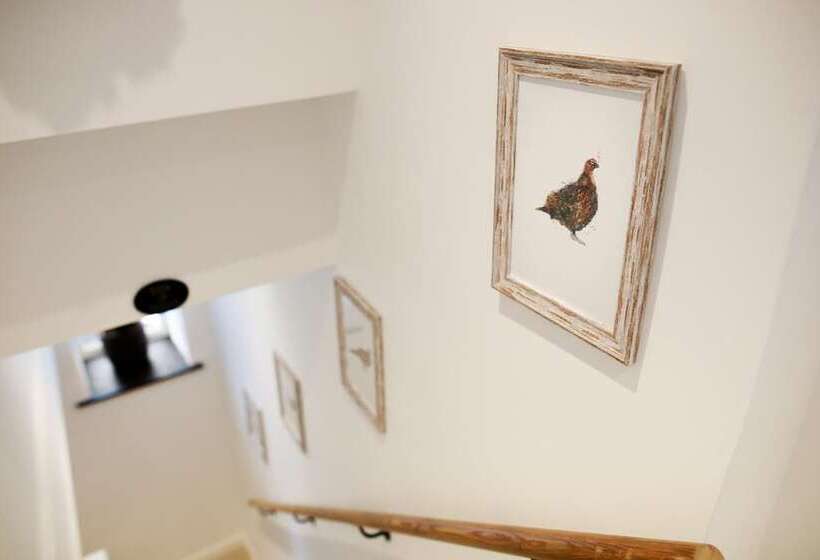 Luxury Thatched Country Cottage   Dartmoor, Devon