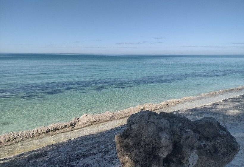 بنسيون Bayfront Beauty