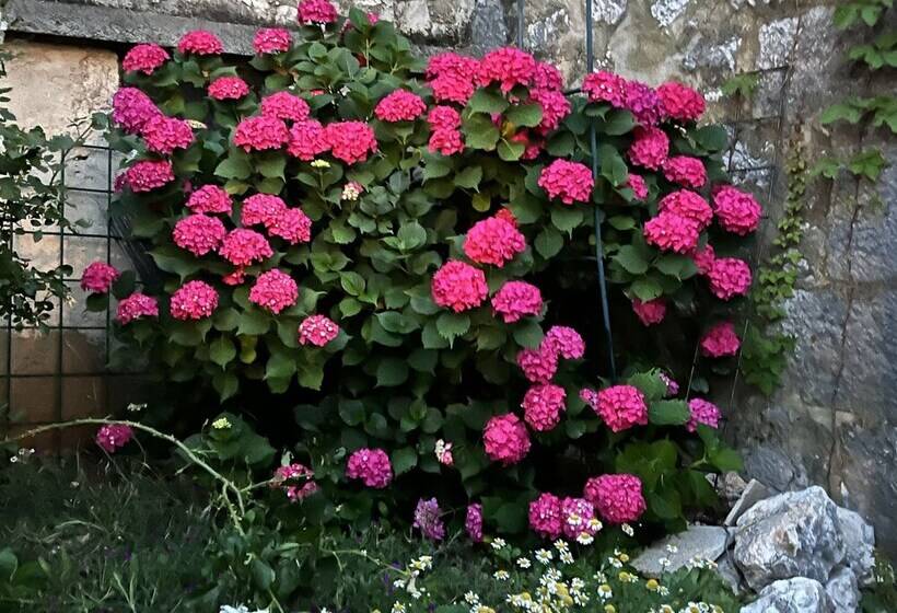 بنسيون Imotski Blaue See Apartments , Pool