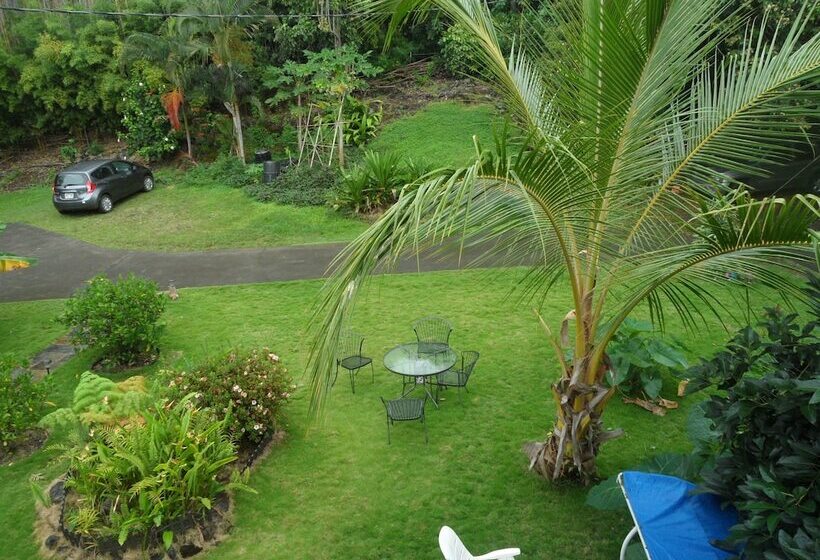 A Beautiful Edge Of The World Bed & Breakfast