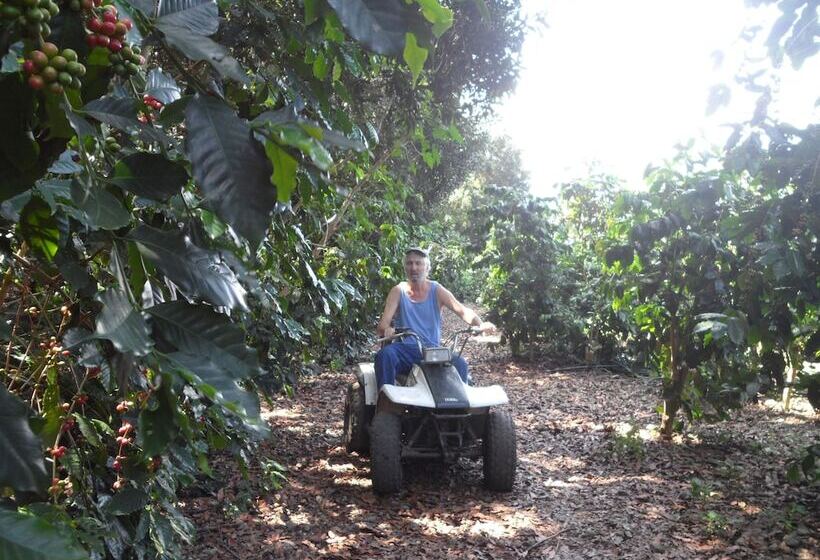 A Beautiful Edge Of The World Bed & Breakfast