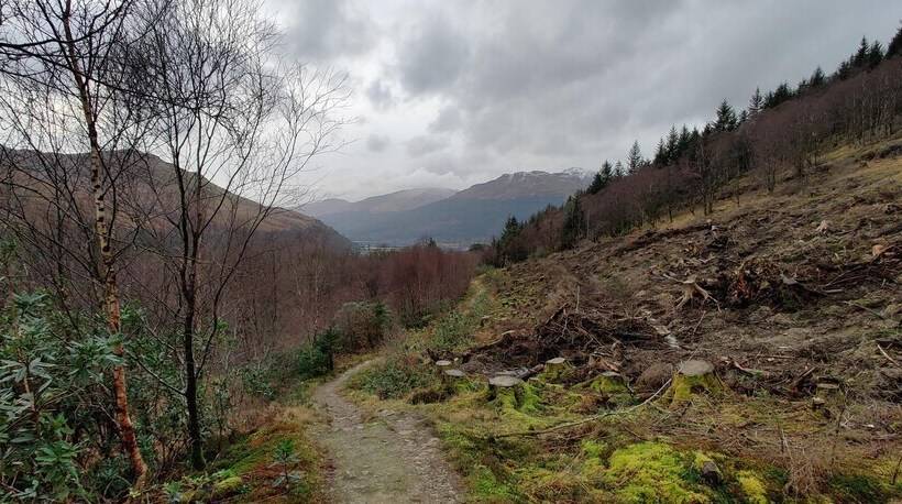 Ben Lomond Cottage   Loch Lomond And Arrochar Alps