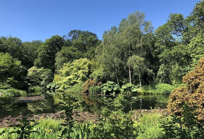 Enchanted Retreats At West Ford Devon
