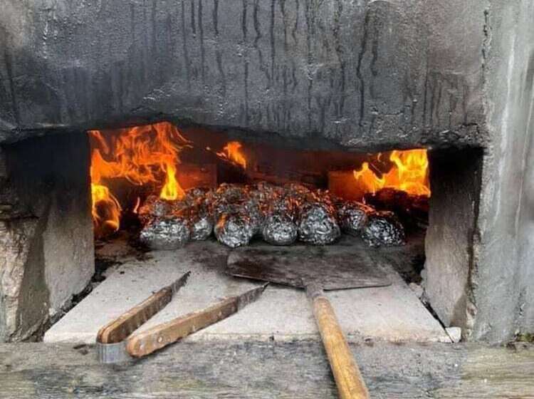 호텔 Arcadia Safari Tent In Private 5 Acre Field