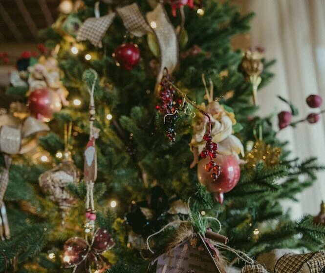 בית מלון כפרי Arkefthos Mountain