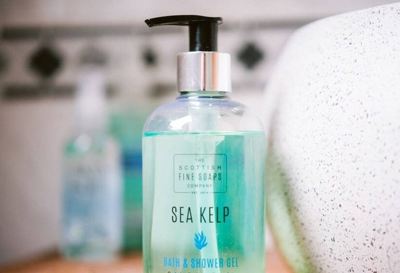 Отель Bright Star Lodge