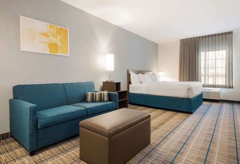 酒店 Mainstay Suites Gaylord