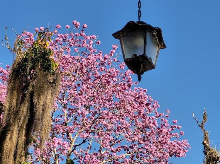 هتل روستایی Fazenda Villaforte