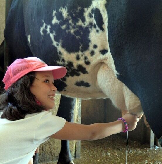هتل روستایی Fazenda Villaforte