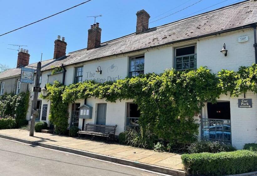 Luxury 1 Bed Cottage With Hot Tub And Log Burner