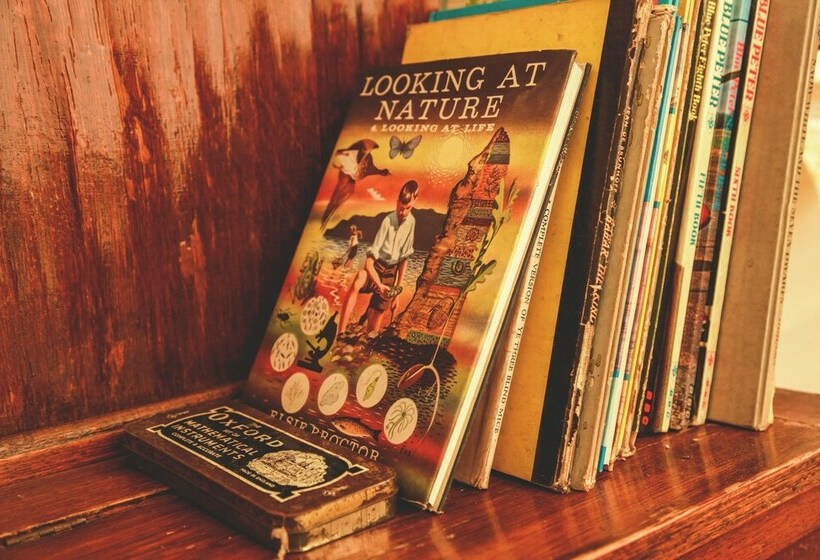 Luxury Secluded Camping In The Brecon Beacons