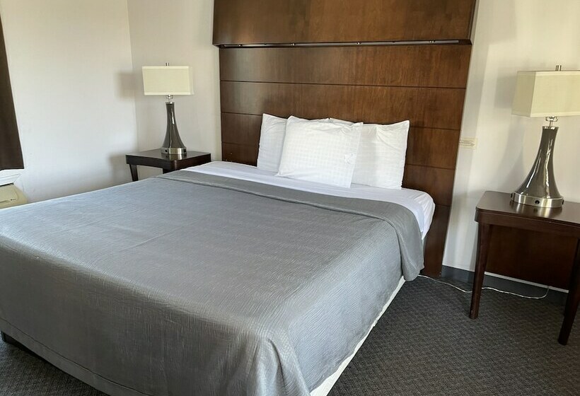 汽车旅馆  Rips Country Inn