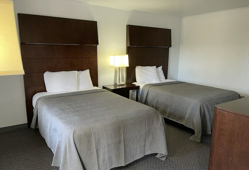 汽车旅馆  Rips Country Inn