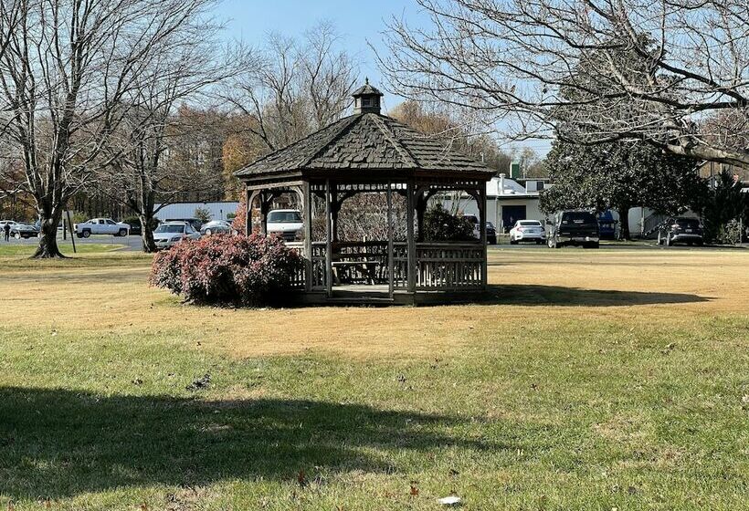 汽车旅馆  Rips Country Inn