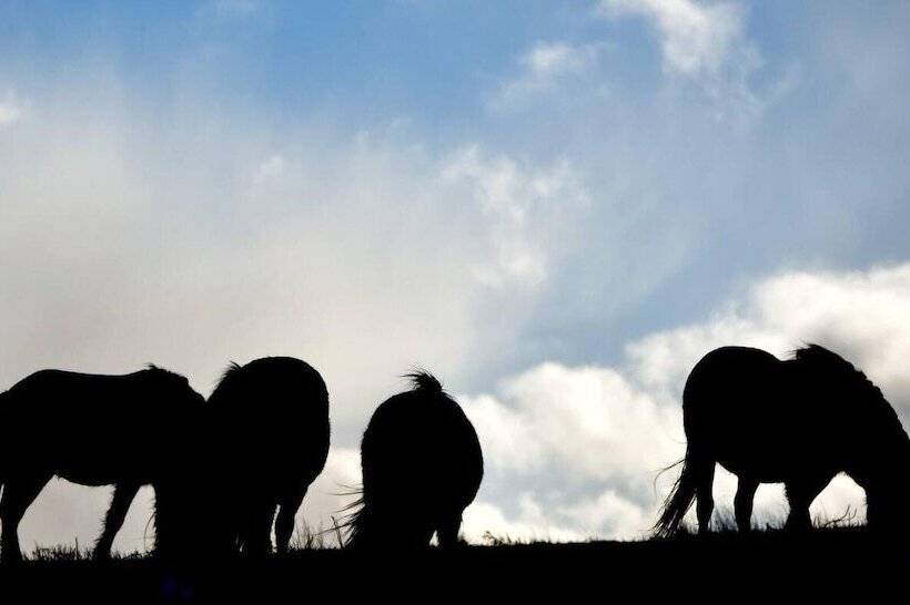 Nest Holiday Hideaway Dove Barn Amazing Location!