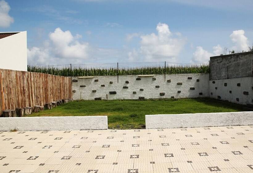 ペンション Mosteiros Vineyard House