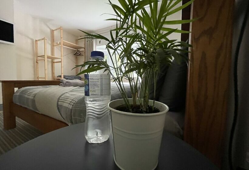 דירת נופש New Modern & Spacious Snowdonia Home  Sleeps 7